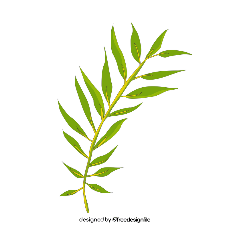 Willow leaf clipart