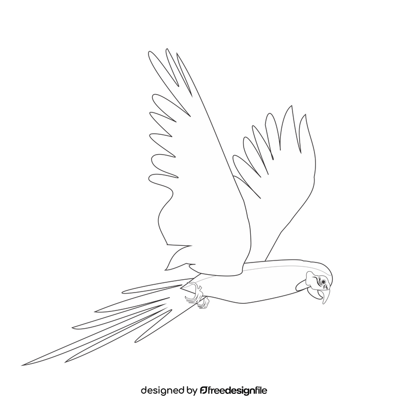 Parrot flying black and white clipart