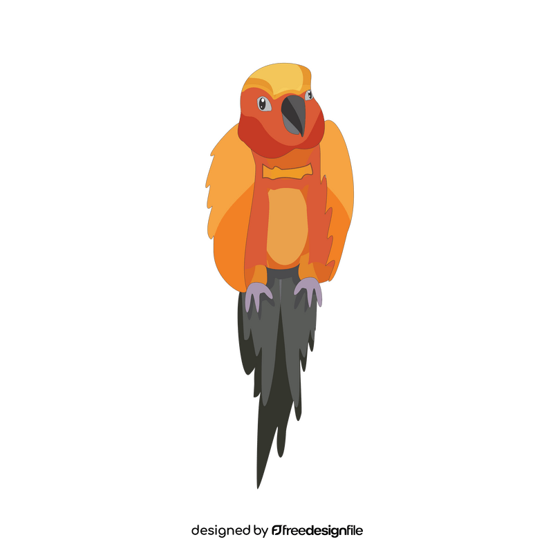 Orange parrot illustration clipart
