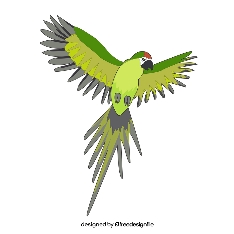 Green parrot flying drawing clipart