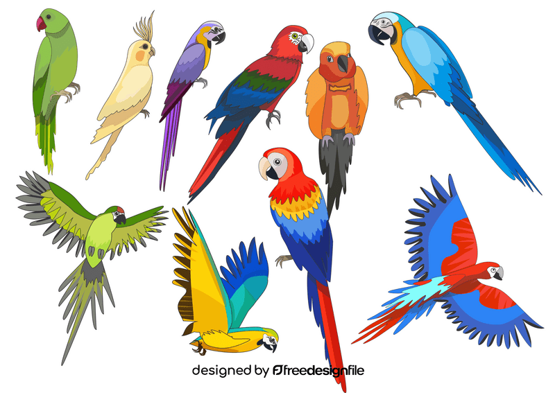 Free parrots vector