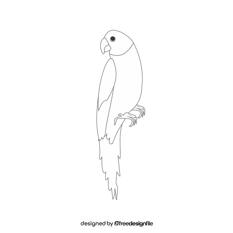 Parrot cartoon black and white clipart