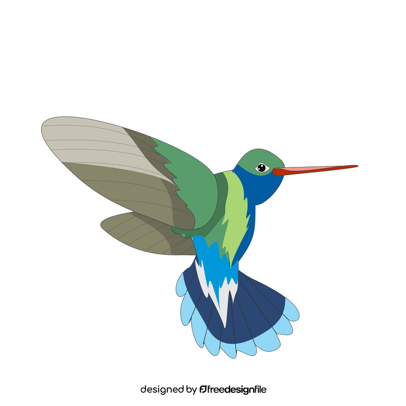 Blue and green hummingbird clipart