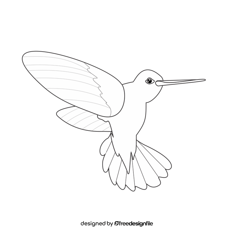 Hummingbird black and white clipart