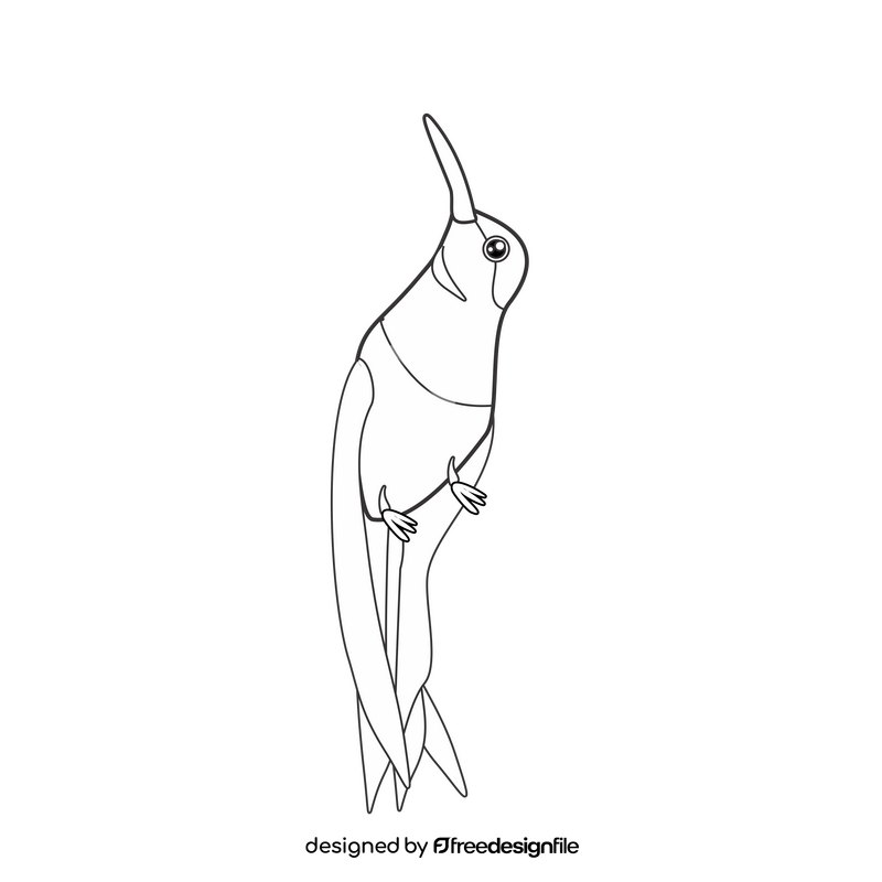 Cartoon hummingbird black and white clipart