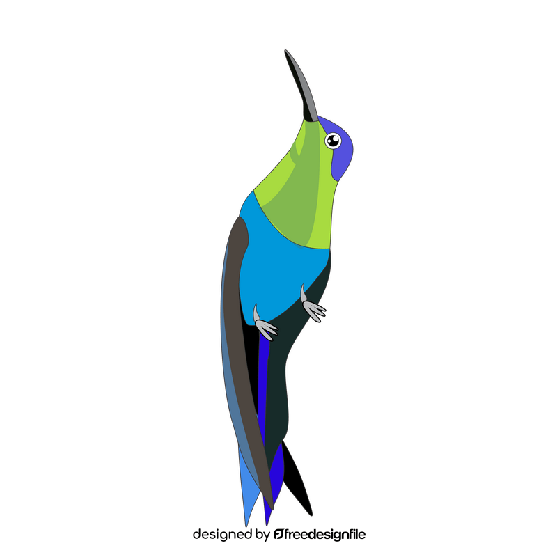 Cartoon hummingbird clipart