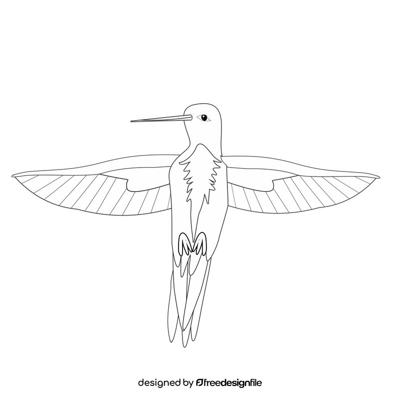 Hummingbird illustration black and white clipart