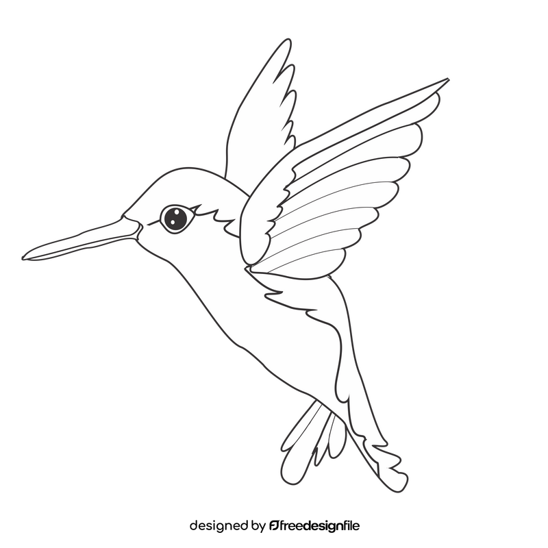 Hummingbird flying black and white clipart