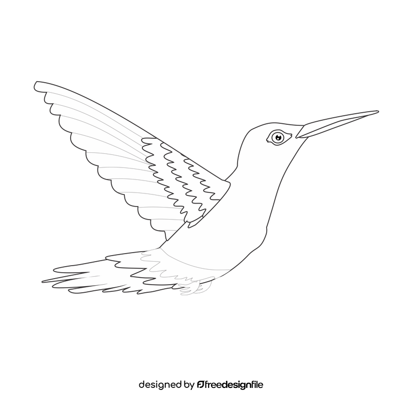 Cute hummingbird flying black and white clipart