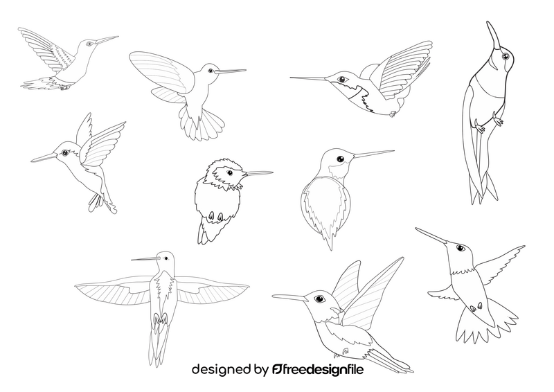 Hummingbirds black and white vector free download