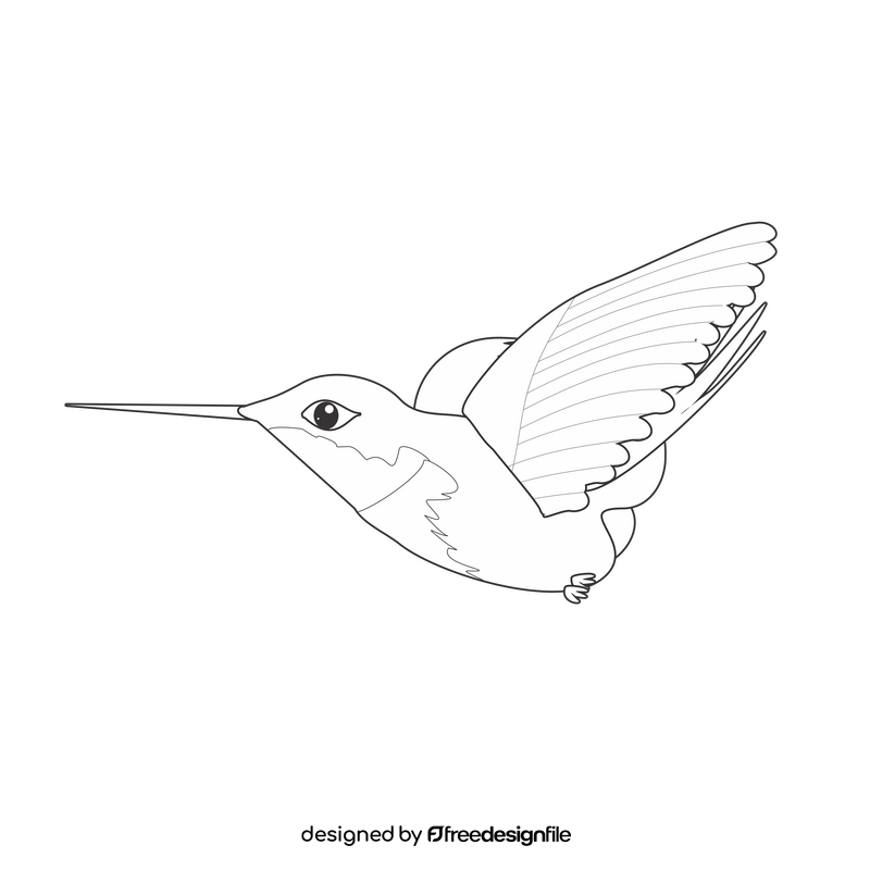 Hummingbird cartoon drawing black and white clipart