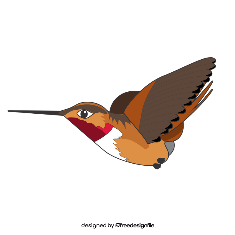 Hummingbird cartoon drawing clipart