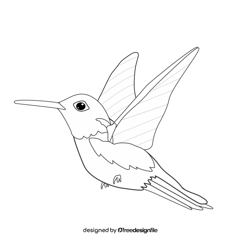 Free hummingbird flying black and white clipart