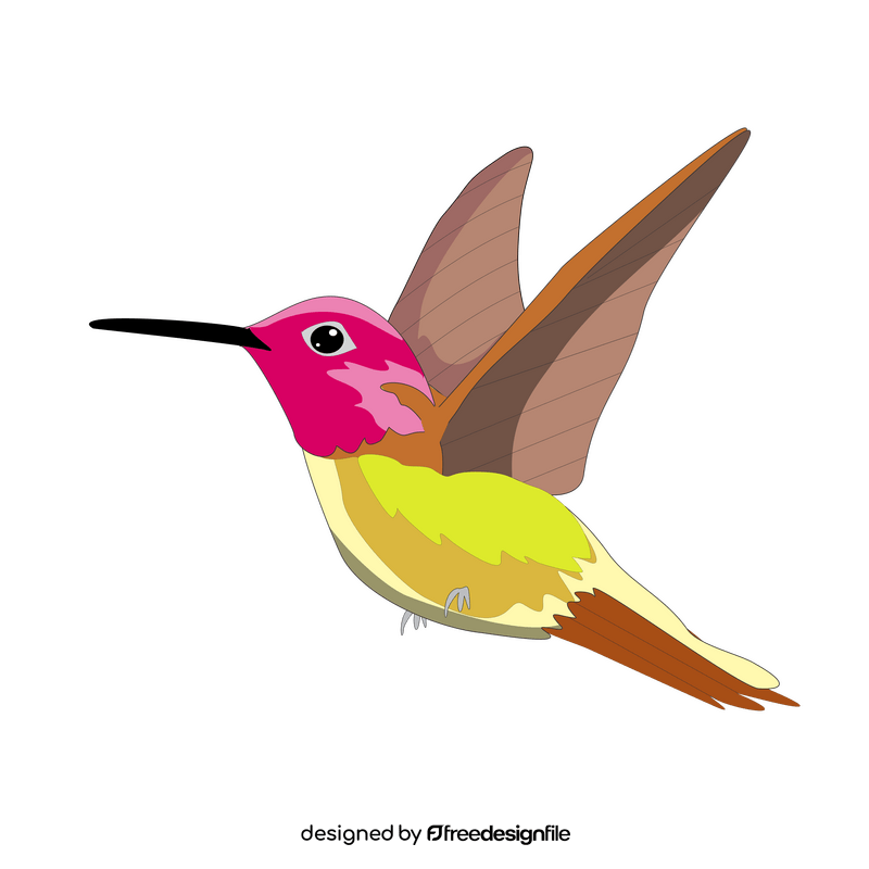 Free hummingbird flying clipart