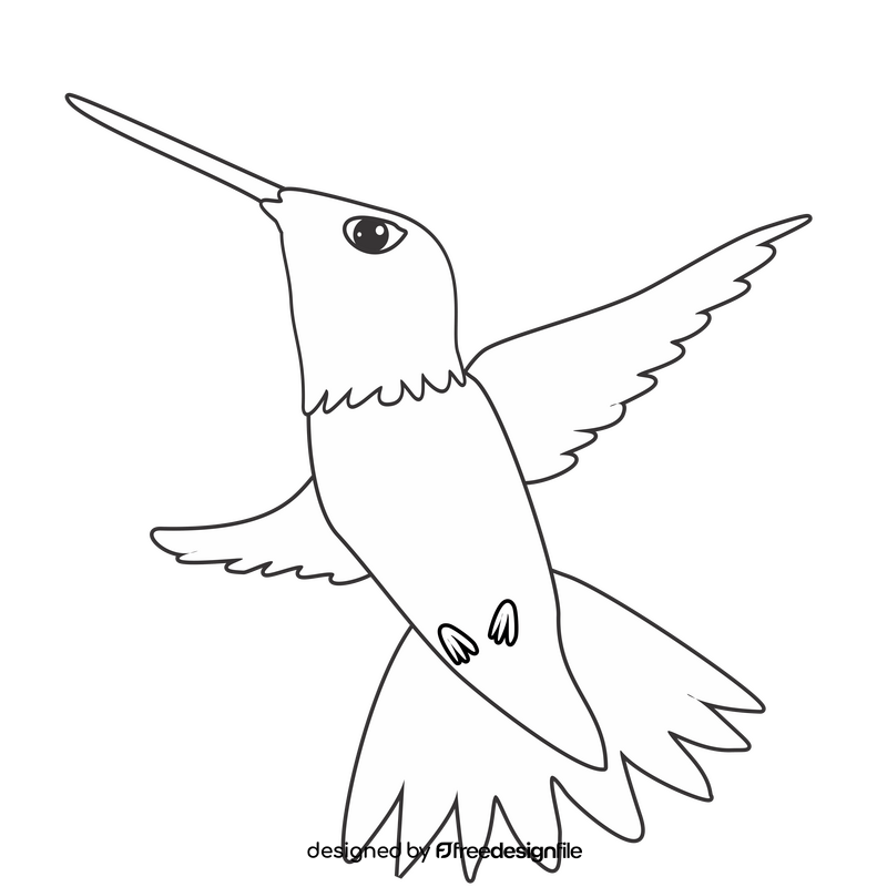 Hummingbird black and white clipart