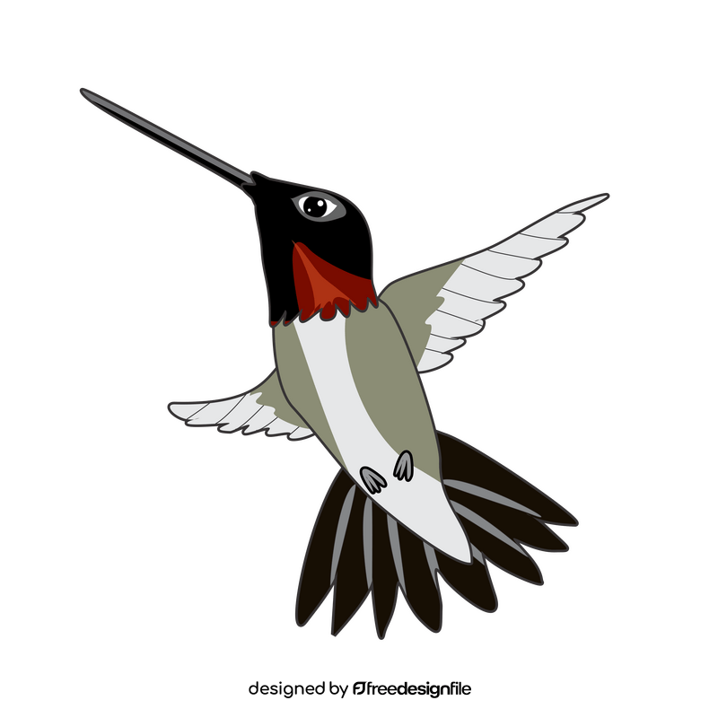 Hummingbird clipart