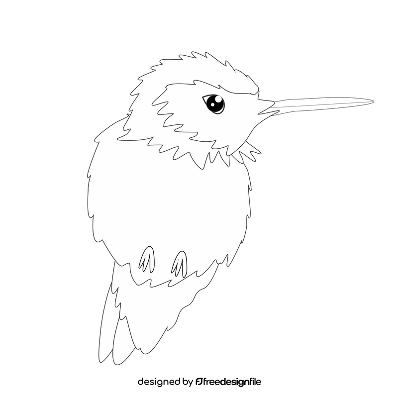 Hummingbird black and white clipart