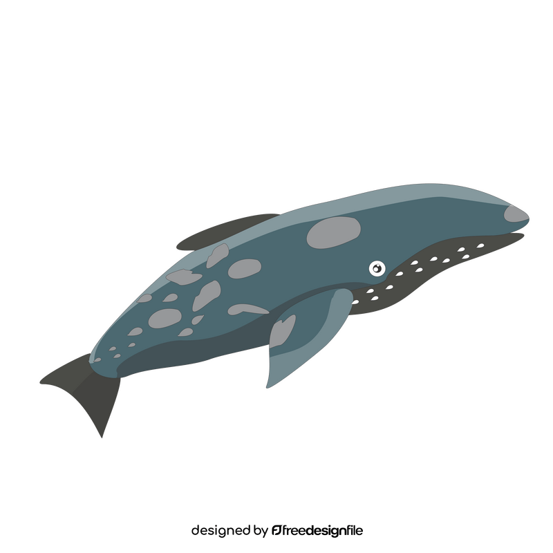Grey whale drawing clipart