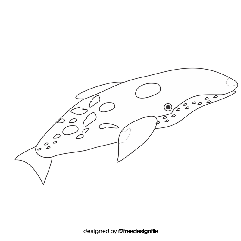 Whale drawing black and white clipart