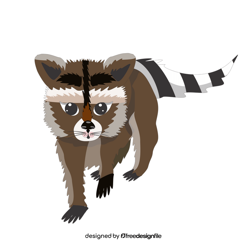 Raccoon walking illustration clipart
