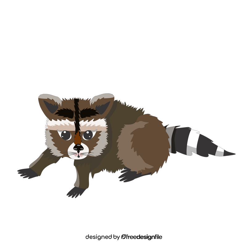 Raccoon clipart