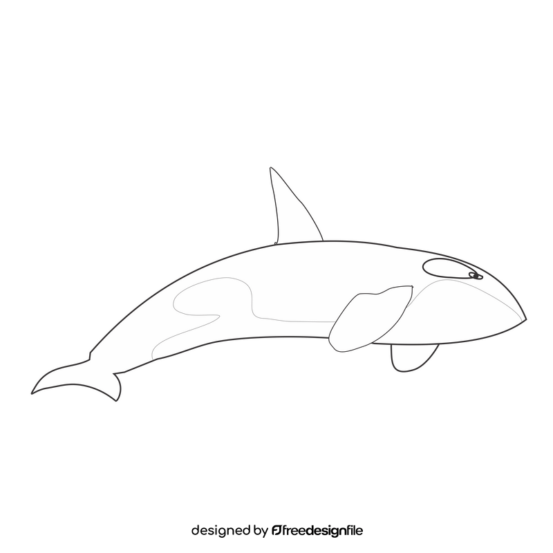 Killer whale black and white clipart