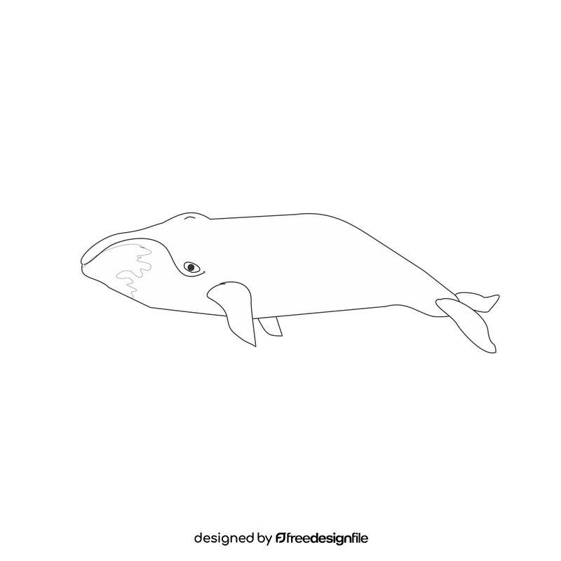 Bowhead whale cartoon black and white clipart