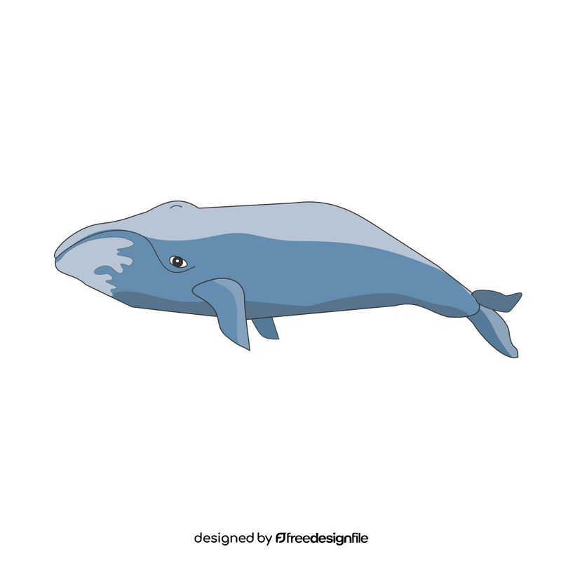 Bowhead whale cartoon clipart vector free download