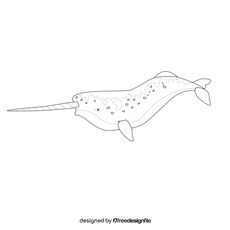 Narwhal whale black and white clipart