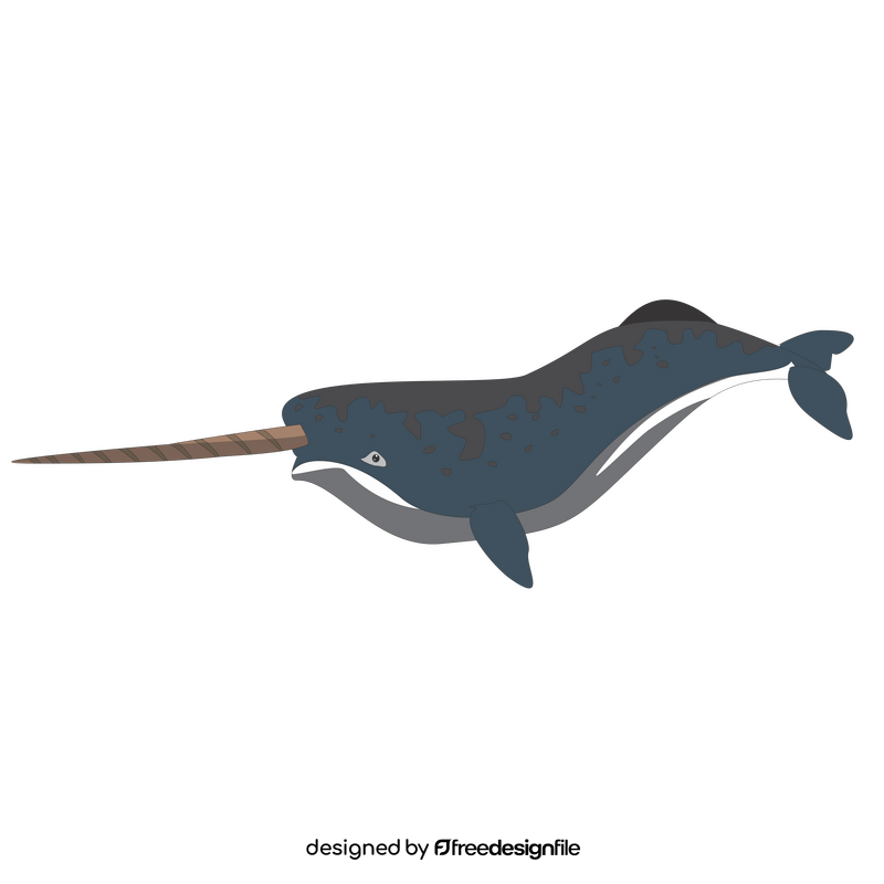 Narwhal whale clipart