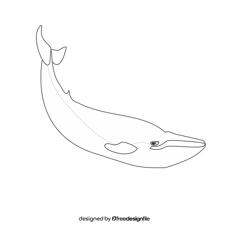 Whale black and white clipart