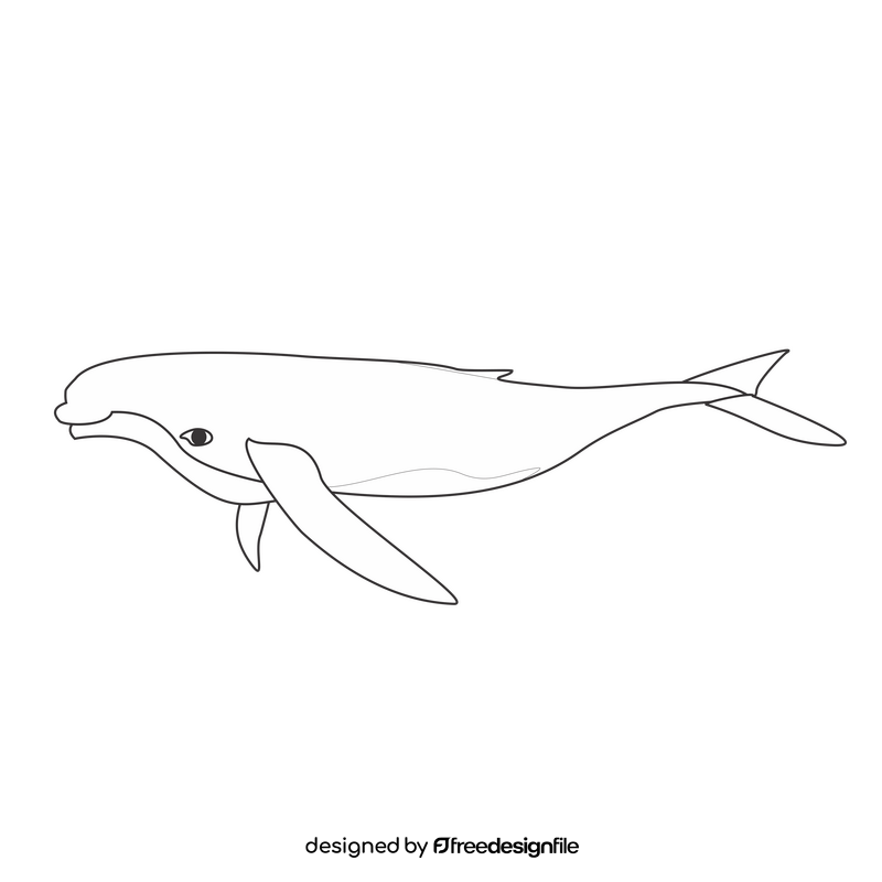 Humpback whale illustration black and white clipart