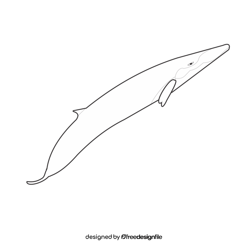 Free sei whale black and white clipart