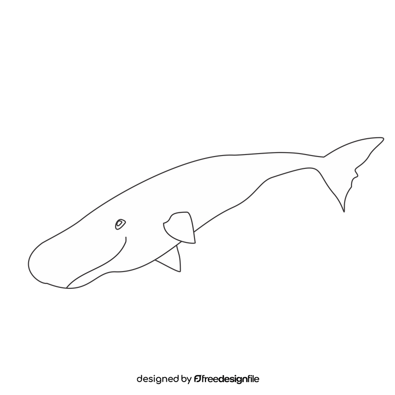 Sperm whale black and white clipart
