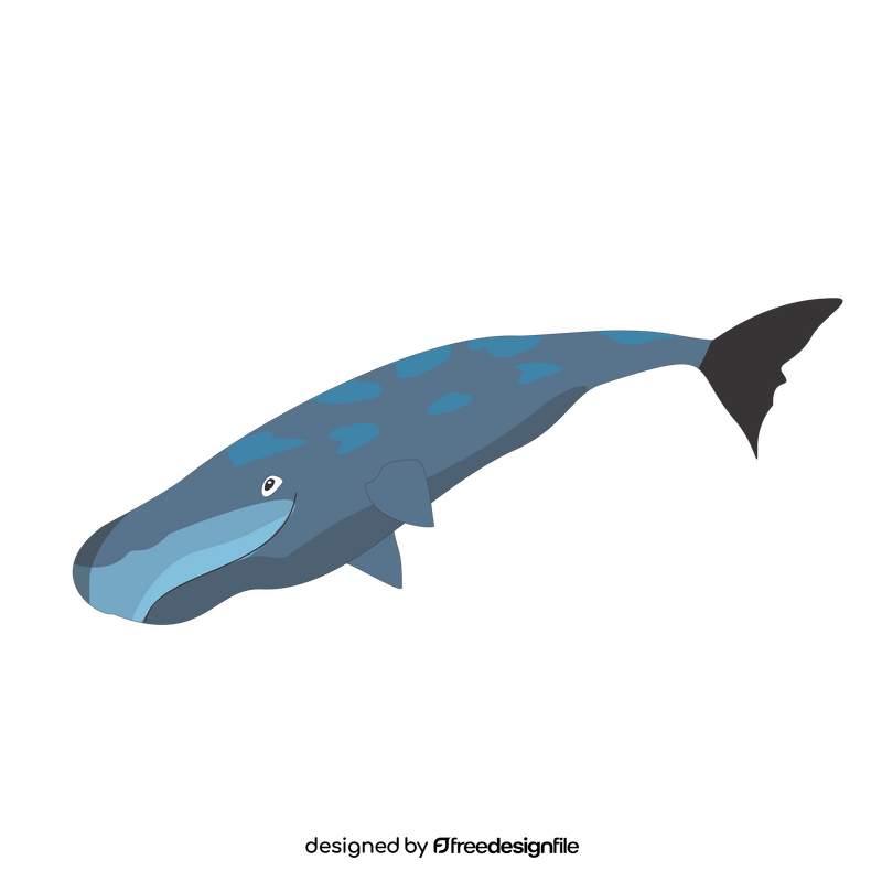 Sperm whale clipart