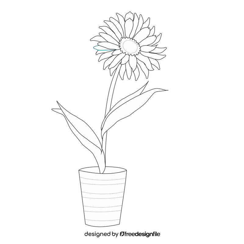 Potted gerbera daisy flower black and white clipart