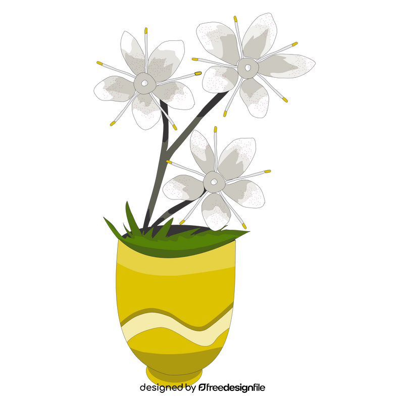 Saxifrage flower clipart