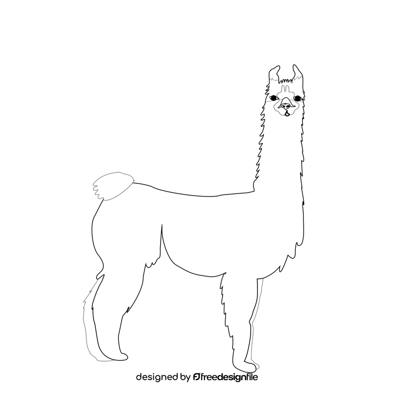 Gray llama illustration black and white clipart