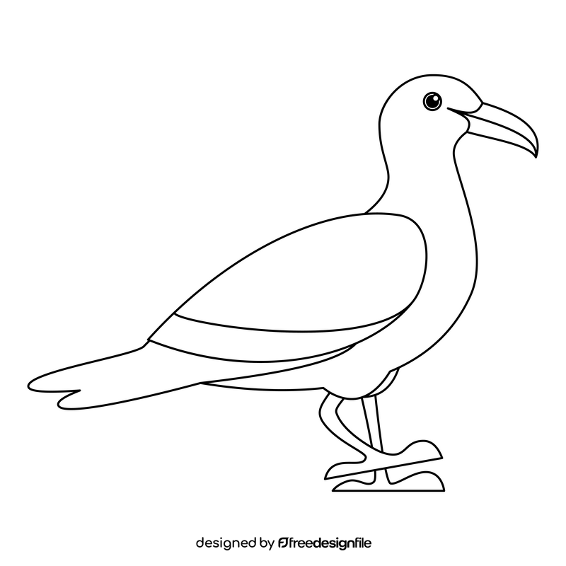 Seagull black and white clipart