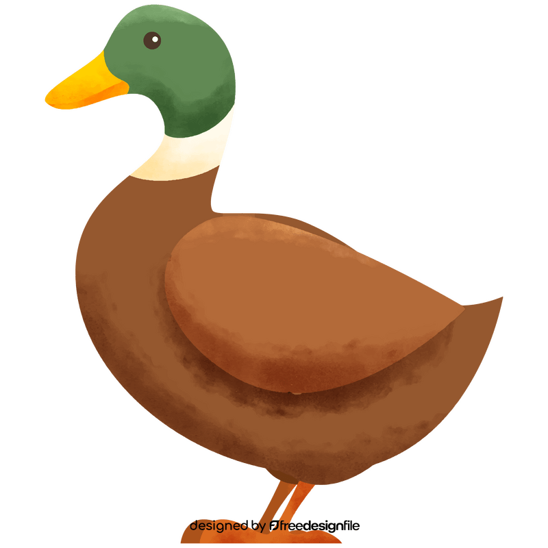 Duck clipart