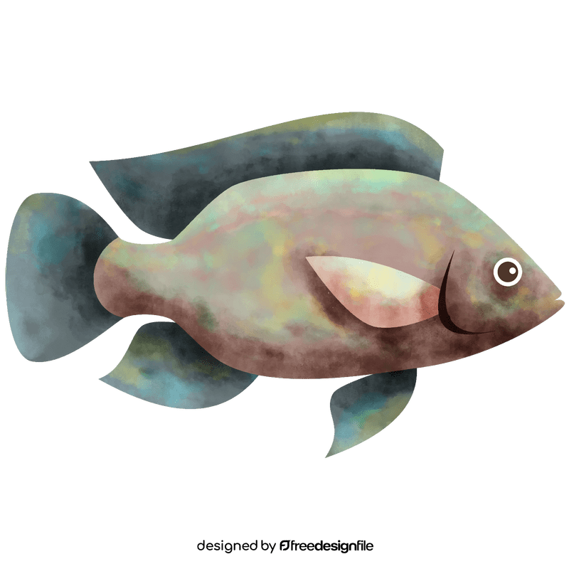 Tilapia fish clipart