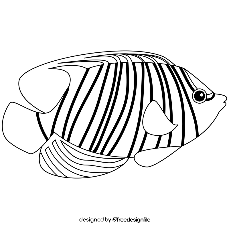 Royal angelfish black and white clipart