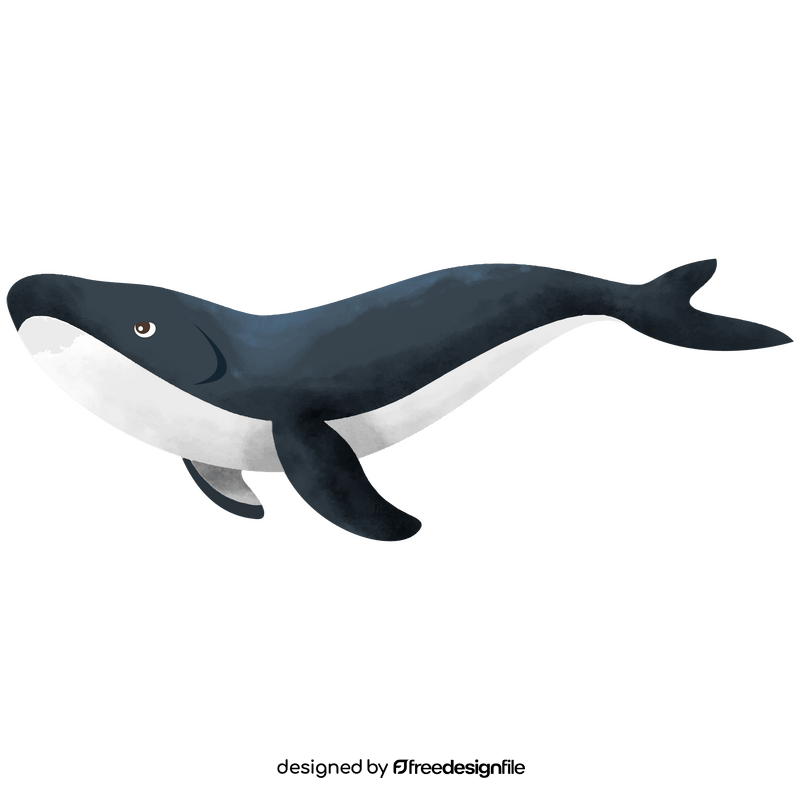 Whale clipart