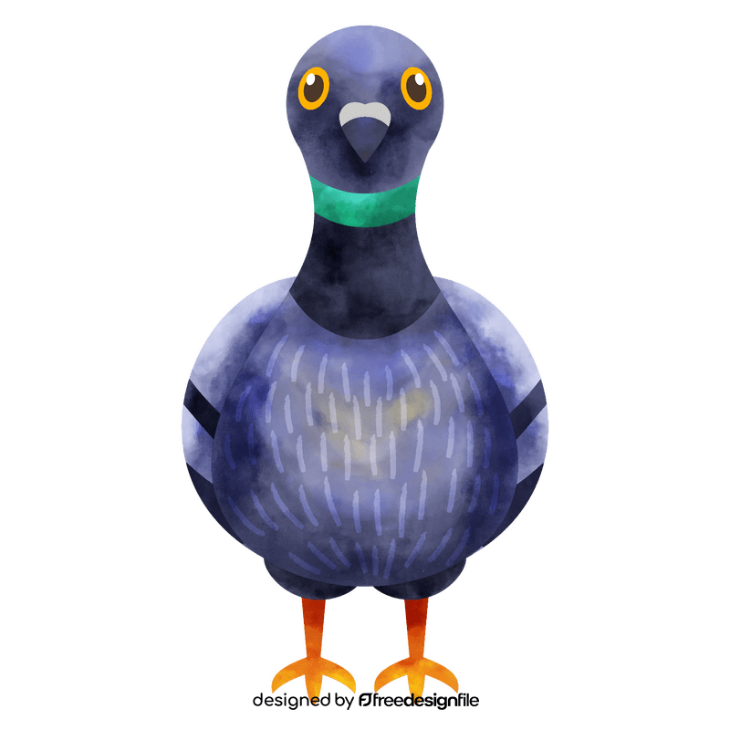 Pigeon front view clipart