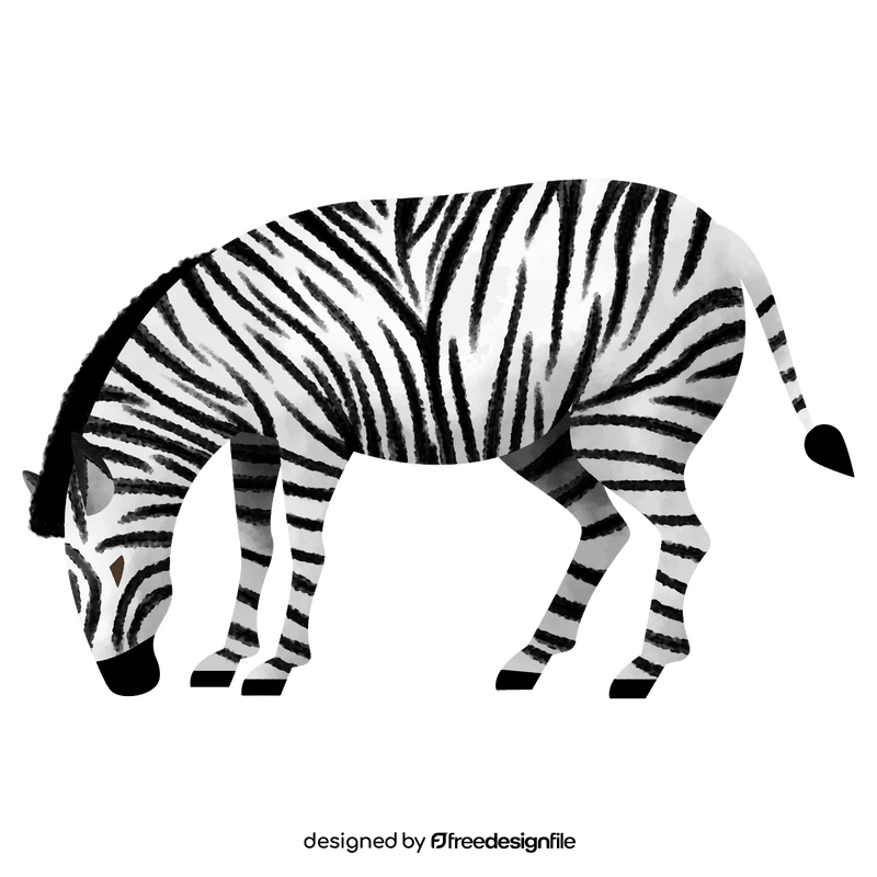 Zebra eating clipart