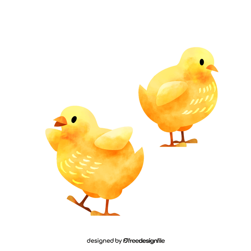 Chicks clipart