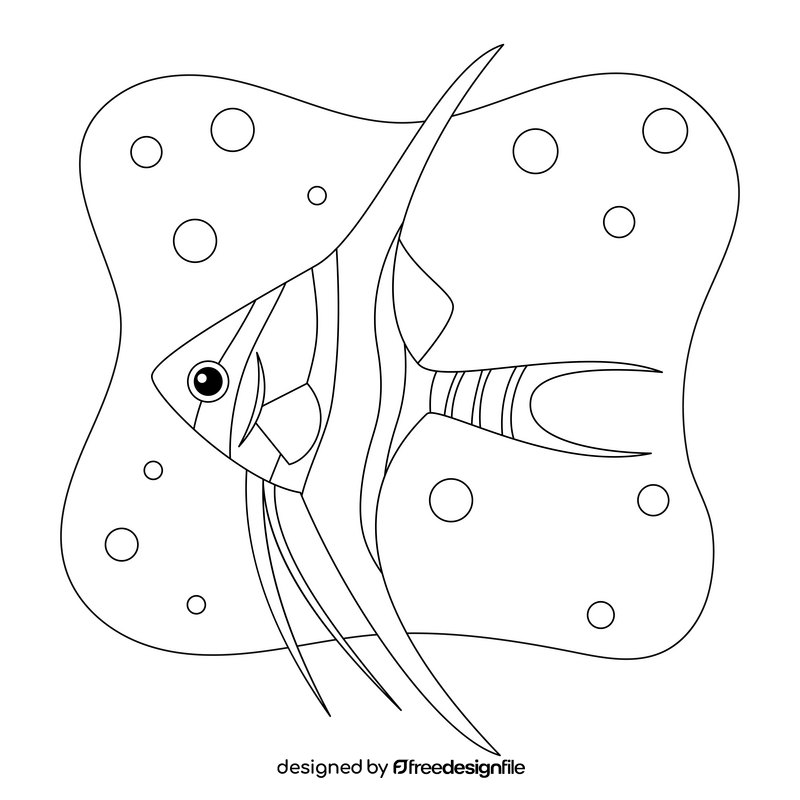 Angelfish drawing black and white clipart