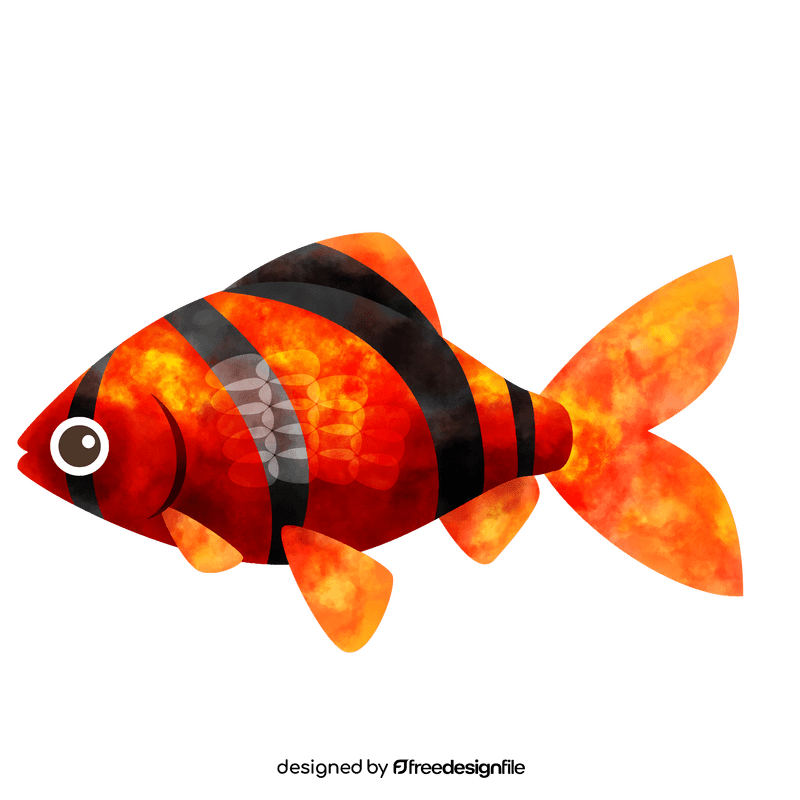 Red tiger barb fish clipart