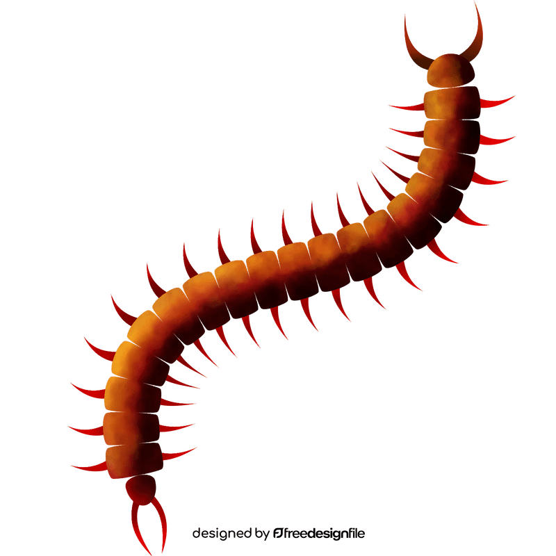 Centipede clipart
