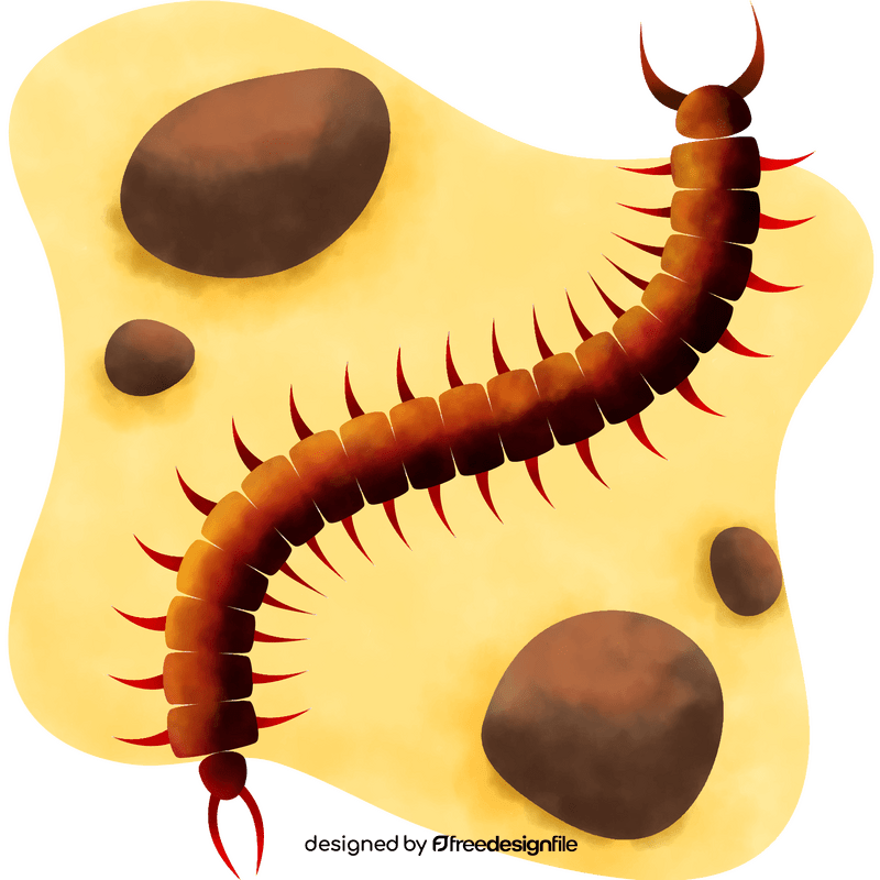 Centipede vector